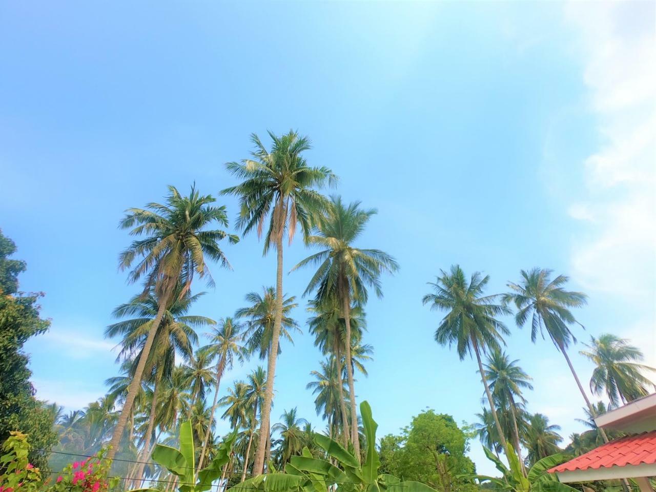 Wirason Villa Pool Maret Exterior photo